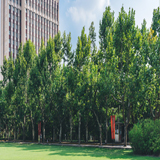 ��������ǰ��3+2�W(xu��)У���]�͘I(y��)��|�֪