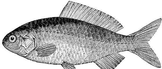 С�W���꼉�σ����g(sh��)�̰���ƪ