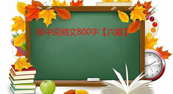 �����f����800�֡���ƪ��